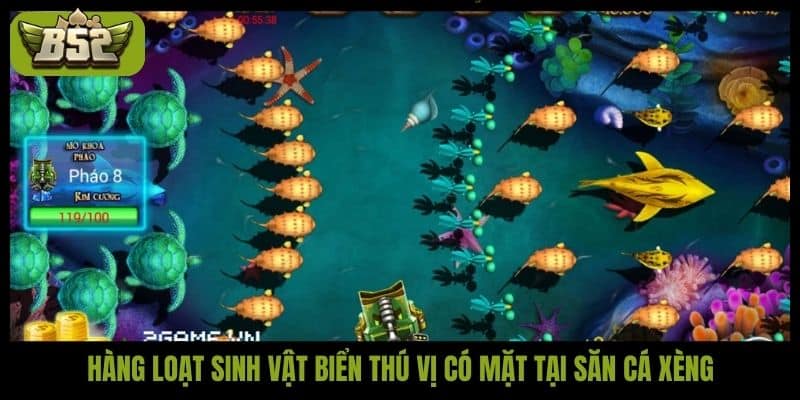 Hàng loạt sinh vật biển thú vị có mặt tại săn cá Xèng