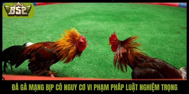 Đá gà mạng bịp có nguy cơ vi phạm pháp luật nghiệm trọng