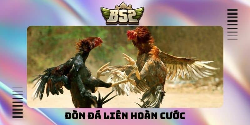 Đòn đá liên hoàn cước